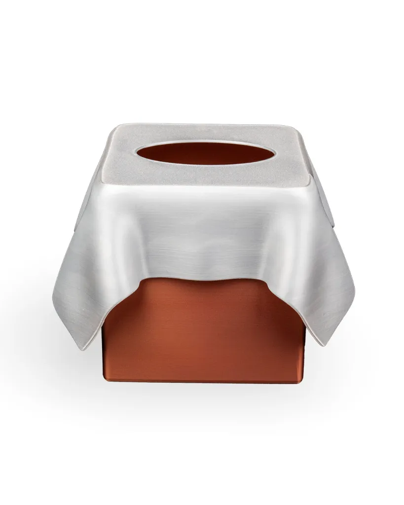 SCULPTIS_tissue_box_WB_1_4472c912ee.webp