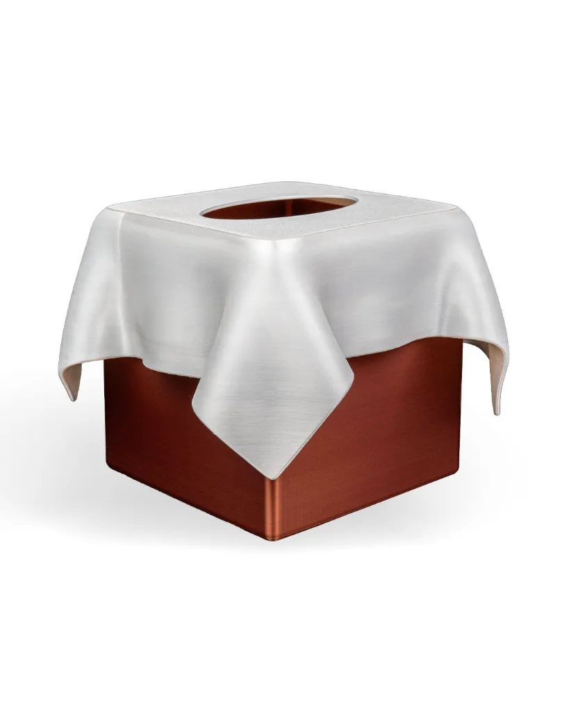 SCULPTIS_tissue_box_WB_4_4cff7a2843.webp
