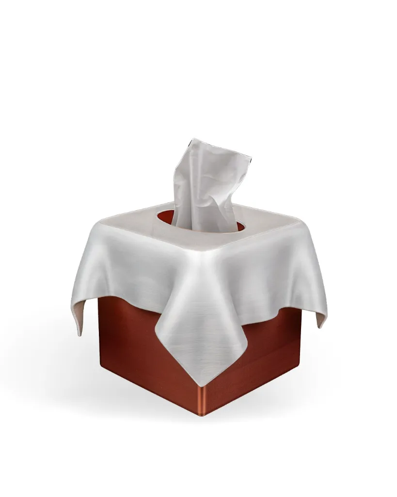 SCULPTIS_tissue_box_psb6_6f852f9494.webp