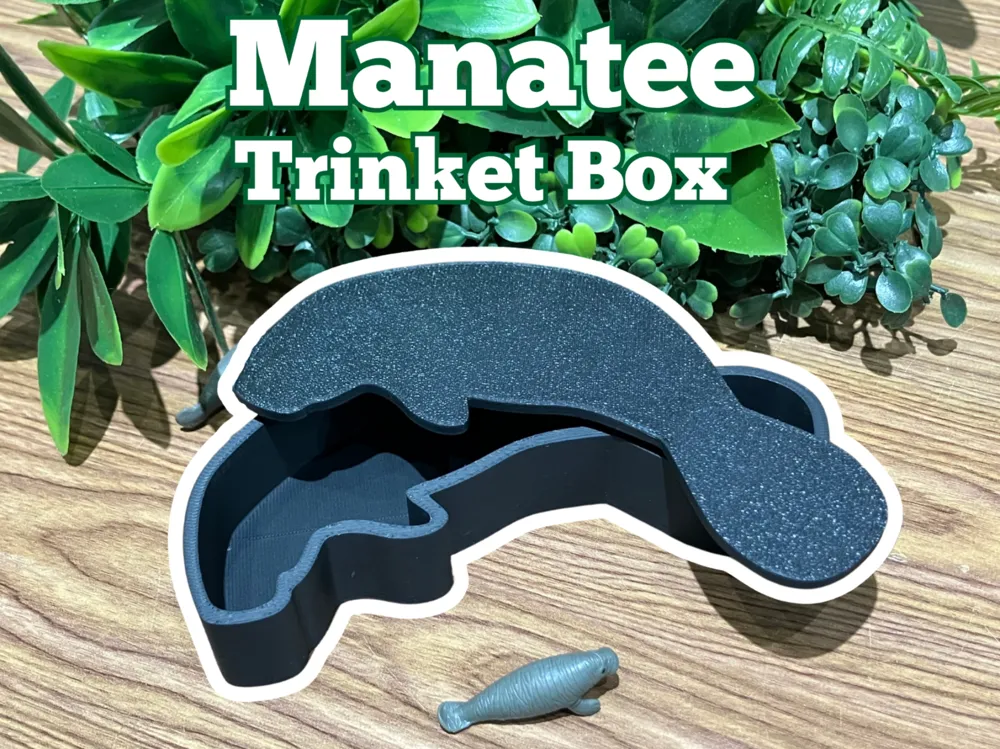 Manatee Trinket Box 6 1/2 in Long 2 1/2 in wide 1 1/2 Deep (White)