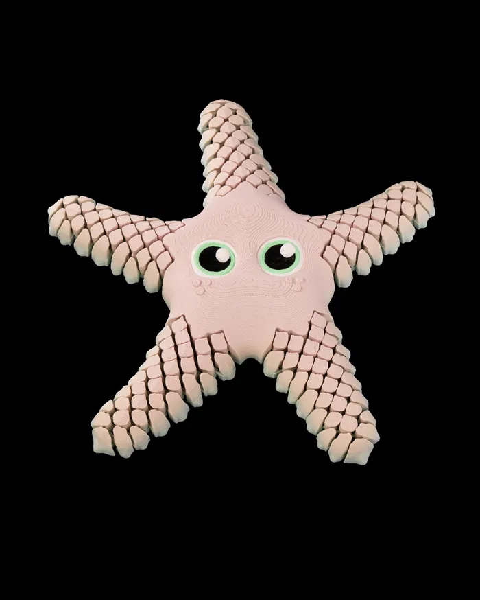 Sandy The Articulated Star Fish