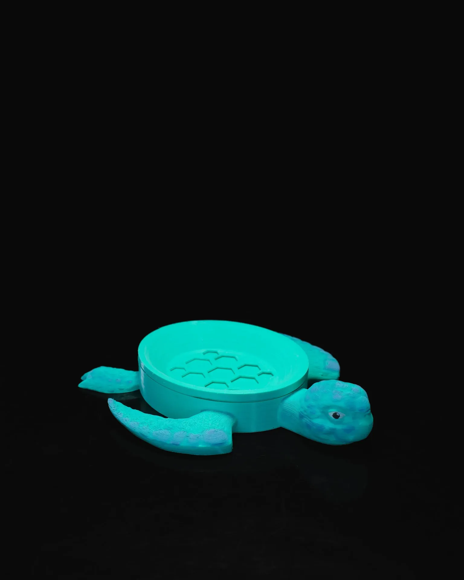 Sea Turtle Soap Dish
